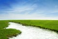River in the grass field Royalty Free Stock Photo