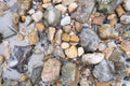 River gravels background. Mixed sea gravels Royalty Free Stock Photo
