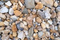River gravels background. Mixed sea gravels Royalty Free Stock Photo
