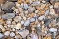 River gravels background. Mixed sea gravels Royalty Free Stock Photo
