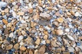 River gravels background. Mixed sea gravels Royalty Free Stock Photo
