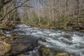 River in Great Smoky Mountains National Park Gatlinburg USA Royalty Free Stock Photo