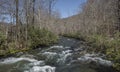 River in Great Smoky Mountains National Park Gatlinburg USA Royalty Free Stock Photo