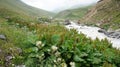 River at Greater Caucasus Mountain Range