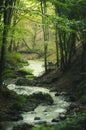 River in green fantasy forest Royalty Free Stock Photo