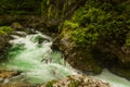 River in green forest in Canyon Vintgar, Triglav