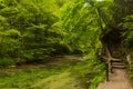 River in green forest in Canyon Vintgar, Triglav