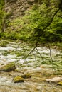 River in green forest in Canyon Vintgar, Triglav