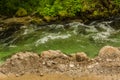 River in green forest in Canyon Vintgar, Triglav