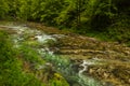 River in green forest in Canyon Vintgar, Triglav