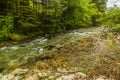 River in green forest in Canyon Vintgar, Triglav