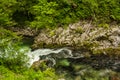 River in green forest in Canyon Vintgar, Triglav