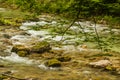 River in green forest in Canyon Vintgar, Triglav