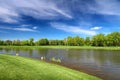 River and green lea in summer day