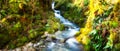 River with green leaves