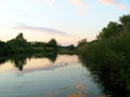 River, green trees and bushes, sunset, summer. Beautiful landscape of a small river.