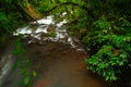 River in green tropic forest. La Paz Waterfall gardens, with green tropical forest in Costa Rica. Mountain tropic forest with rive