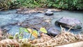 The river has started to dry up due to the dry season