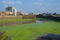 The river Haven covered in green weed at low tide
