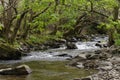 River Heddon Royalty Free Stock Photo