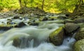 River in Hirkan national park in Lankaran Azerbaijan Royalty Free Stock Photo