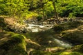 River in Hirkan national park in Lankaran Azerbaijan Royalty Free Stock Photo