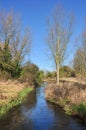 River Hiz, on north side of Hitchin