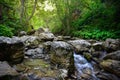 River in Homole ravine in Pieniny mountain Royalty Free Stock Photo