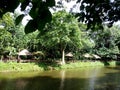 River, huts and full vegetation in Eco Park Manila Quezon City Royalty Free Stock Photo