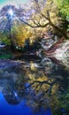 River in Hyrcanian forests of Iran during Autumn Royalty Free Stock Photo