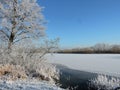 River Sysa and snowy trees, Lithuania Royalty Free Stock Photo