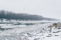 River with ice drifting and bare forest visible on other side Royalty Free Stock Photo