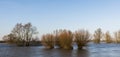 River IJssel Flood Zutphen Gelderland Royalty Free Stock Photo