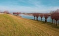 River the IJssel and pollard willows in the Netherlands Royalty Free Stock Photo