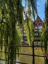 The river Ilmenau with weeping willows