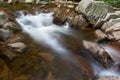 The river Ilse in forest in the Harz National Park Royalty Free Stock Photo