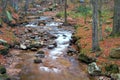 The river Ilse in the Harz National Park Royalty Free Stock Photo