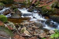 The river Ilse in the Harz National Park Royalty Free Stock Photo