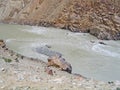 River Ind valley, in mountains of Ladakh