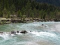 River Isar near VorderriÃÅ¸