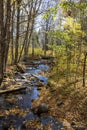 River at Jacques Cartier National Park. Quebec. Canada. Royalty Free Stock Photo