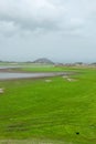 River of jawai dam is greener and also water and mounten beautiful sky summer Royalty Free Stock Photo