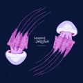 River jelly Leopard jellyfish, hand draw sketch vector Royalty Free Stock Photo