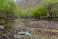 River in Jizev Jizeu, Geisev or Jisev valley in Pamir mountains, Tajikist