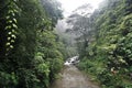 River in jungle hike in Bali Indonesia very green plants and waterfall