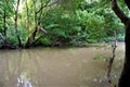 River through the jungle in the Lomas de Barbudal Biological Reserve Royalty Free Stock Photo