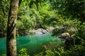 River in jungle rainforest, Khao Sok, Thailand Royalty Free Stock Photo