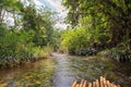 River in jungle, Thailand Royalty Free Stock Photo