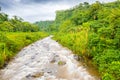 River in the jungle on the volcan baru trail chiriqui panama Royalty Free Stock Photo