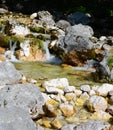 SoÃÂa river just after emerging from a spring Royalty Free Stock Photo